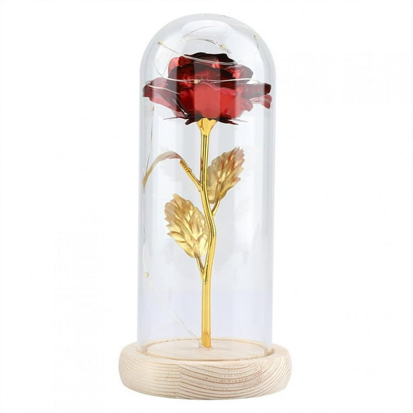 Noref Preserved Rose Flower LED Light with Glass Cover & Wooden Base Valentines'Day Wedding Gift