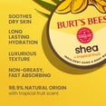 thumbnail image 2 of Manteca para manos y cuerpo Burt's Bees Shea + Tropical Fruit 325 ml, 2 of 7