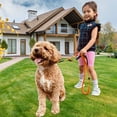 thumbnail image 1 of YWIYIUD 1PC HeavyDuty Elastic Dog Leash for Large Medium Dogs NoPull ShockAbsorbing Dog Leash with Handle Practical Climbing Rope Suitable for Walking Training Hiking and Daily Activities, 1 of 6
