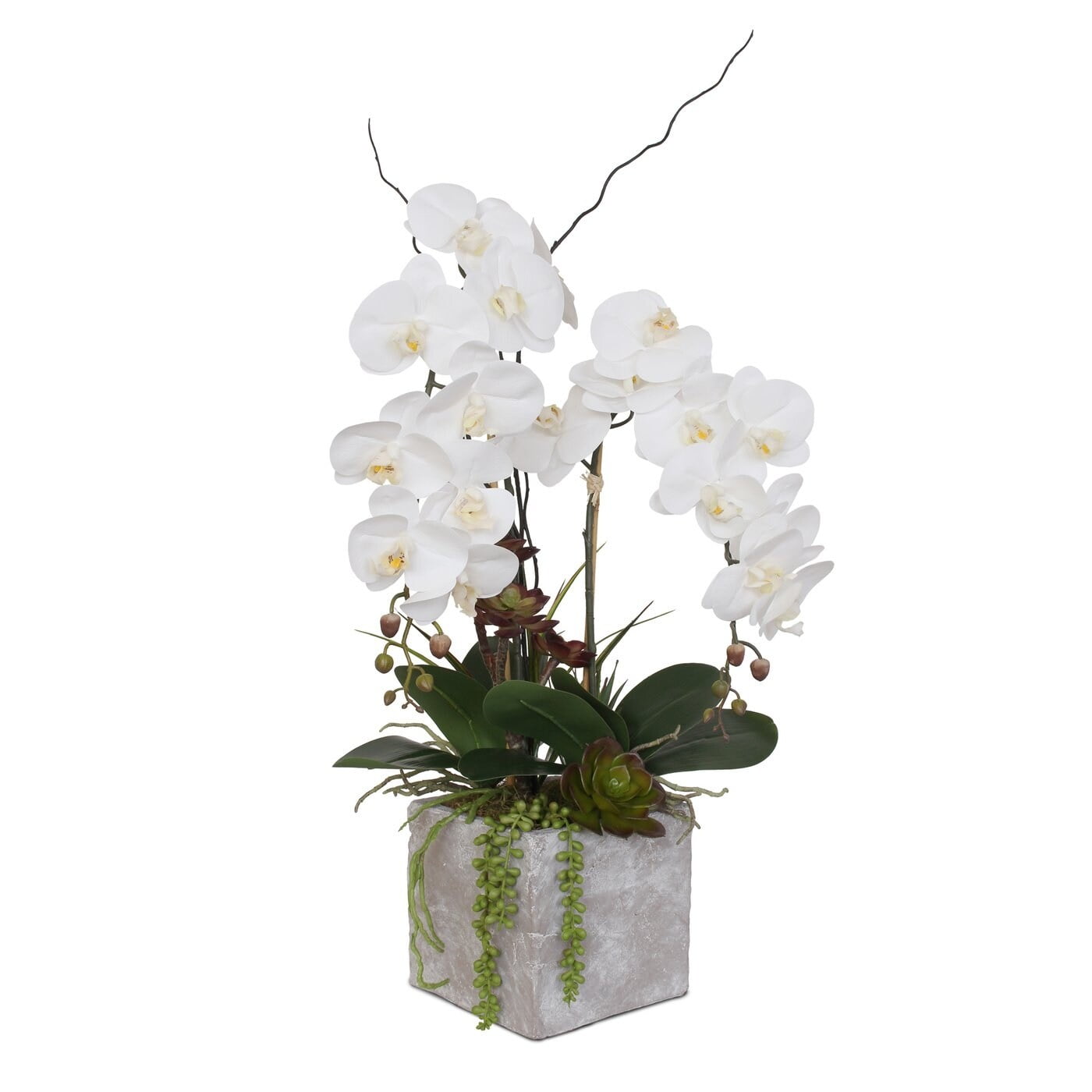 F-117 Real Touch White Orchid with Succulent Arrangement in