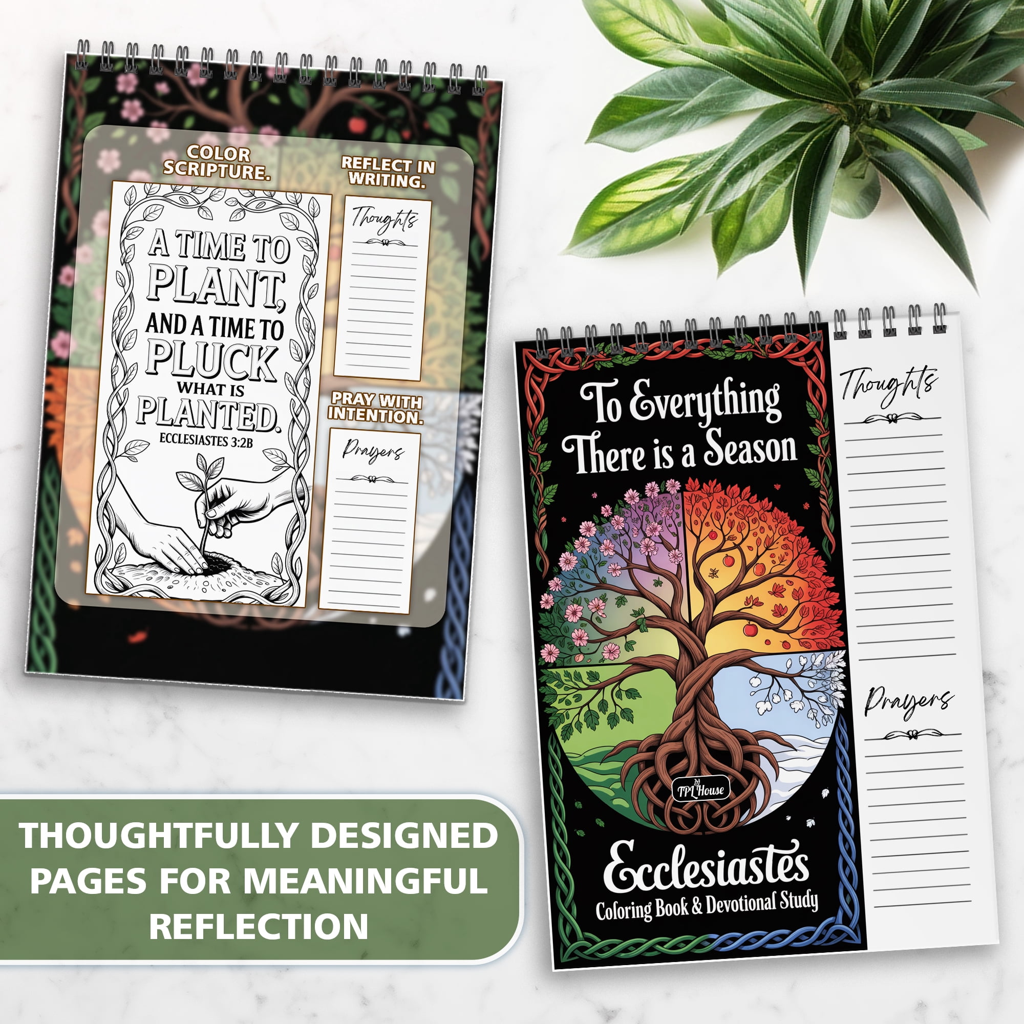 Ecclesiastes Coloring Book for Adults, 30 Minimalist Scripture Art Pages with Reflection & Prayer Space, Spiral Bound, A4 or A5 Softcover or Wood Cover