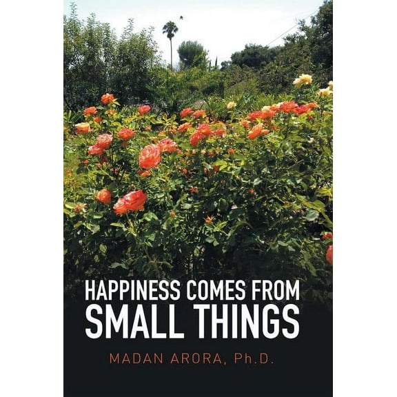 Happiness Comes from Small Things (Hardcover)