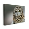 thumbnail image 3 of Stupell Industries Fierce Hunting Owl Modern Bokeh Photography Effect ,20 x 16, Design by Daniel Sproul, 3 of 5