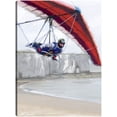 thumbnail image 1 of Cuadro Decorativo - Planeador de mano, 1 of 3