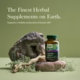 thumbnail image 3 of Gaia Herbs Lactate Support 120 Vegan Caps, 3 of 8