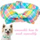 thumbnail image 5 of Collar de perro de estilo único con forma de patas de Pascua con lazo para perros, 5 of 6