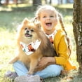 thumbnail image 5 of Squirrel Breathable Chiffon Dog Scarf 2-Pack - Translucent Lightweight Pet Collars, Size 16x16x22.8in and 20.9x20.9x30in, 5 of 5