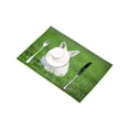thumbnail image 3 of MKHERT Little Dwarf Rabbit Sitting Outdoors Funny Animal Placemats Table Mats for Dining Room Kitchen Table Decoration 12x18 inch,Set of 4, 3 of 4