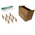 thumbnail image 2 of Hardy Lush Hosta - 9 Bare Roots - Green Garden Perennial Plants - Shade Loving & Easy to Grow, 2 of 5
