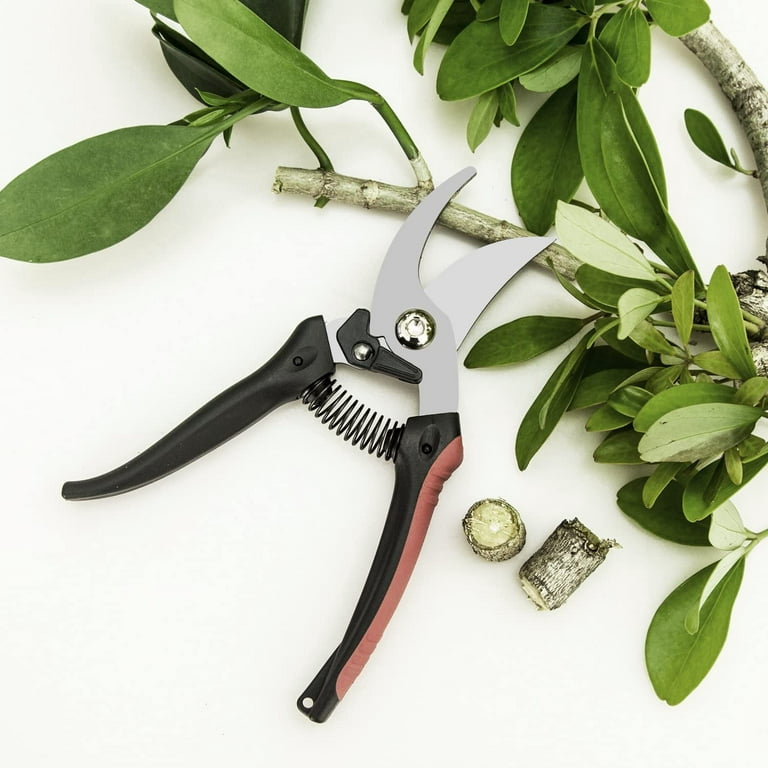 ClassicPro Titanium Pruning Shears - Best Tree Trimmer, Garden Shears, Hand