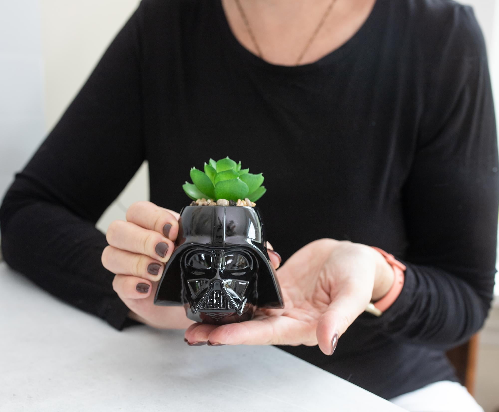 Darth vader plant best sale pot