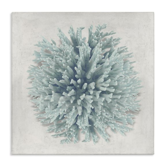 Stupell Industries Contemporary Coral Ball Blue Sea Beach Canvas Art, 24 x 24, by Caroline Kelly