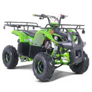 TaoTao D125 125cc Fully Automatic Mid Utility ATV