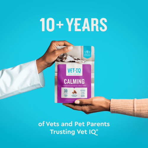 Vet IQ Calming Health Supplement for Cats, Chicken Flavored Crunchy Chews, Approx. 30 Day Supply