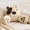 Dog, variant on Kids Character Memory Foam Filled Bed Rest Pillow with Arms and Removable Cover