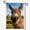 D, variant on XaaKee Summer Garden Flag, Funny Farm Portrait Goat Garden Flag, Double-Sided High-Quality White Linen Garden Flags For Outside Clearance, Country Style For Yard, 12x18Inch