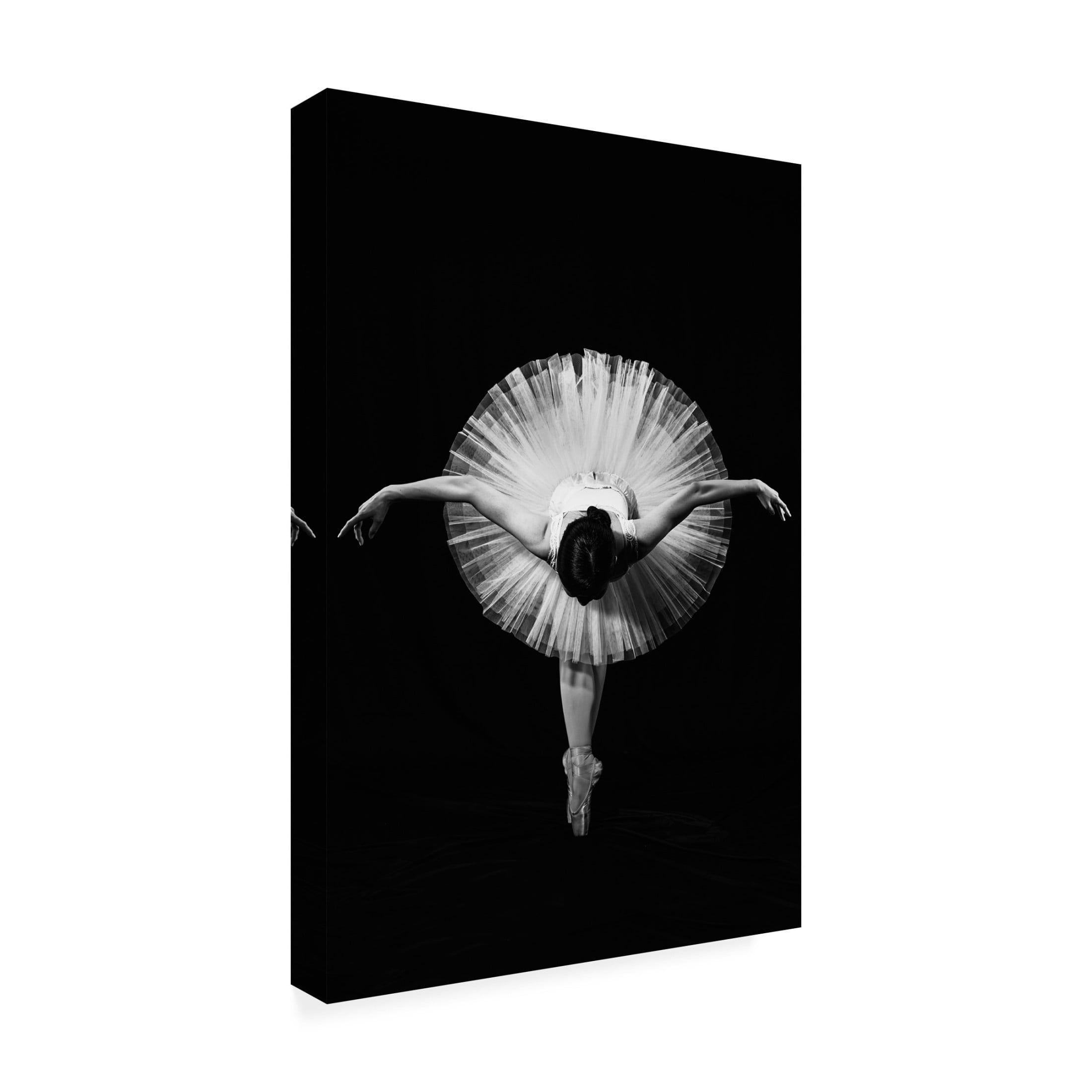 Trademark Fine Art Pattanawit Suntiniwat Finale Canvas Wall Art
