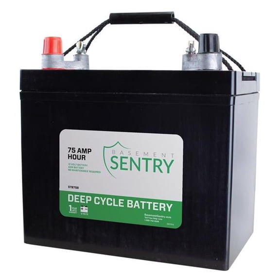 75A Back-Up Pump Battery