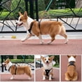 thumbnail image 2 of Dog Harness Reflective Adjustable Mesh Lightweight Vest for Small Medium Large Dogs, 2 of 8