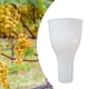 thumbnail image 1 of Container de remojo de la taza de uva de uva Fácil de usar GRAPES Mantenimiento Accesorio 8.66x4.72 "Mantener uvas por daños, 1 of 8