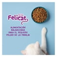 thumbnail image 4 of Alimento Para Gato Felicat 20 Kg, 4 of 4