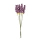 thumbnail image 1 of Bewildely Ramo de flores de hierba de trigo Artificial, 6 uds., simulación de mano pequeña y fresca, artesanía de trigo, accesorios de decoración para Plantas Artificiales morado oscuro Bewildely HA7512-06B, 1 of 6
