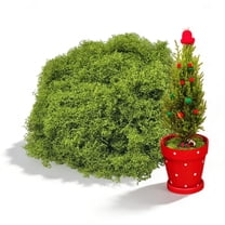 FSZNKJ Light Green Artificial Moss – 3.52oz (100g) Faux Moss for Christmas & Spring Holiday Decor, DIY, Wedding, Craft Projects – No Maintenance, Eco-Friendly