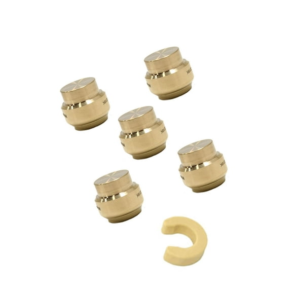 (Pack of 5) EFIELD 3/4 Inch Plug End Cap Push-Fit Fitting to Connect Pex, Copper, CPVC with Disconnect Clip