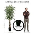 thumbnail image 6 of Cypress & Alabaster Handmade 6.5ft Mediterranean Olive Artificial Tree with Ethically Sourced Real Wood Trunks, Hypoallergenic, 6.5-Foot, Green, 6 of 9