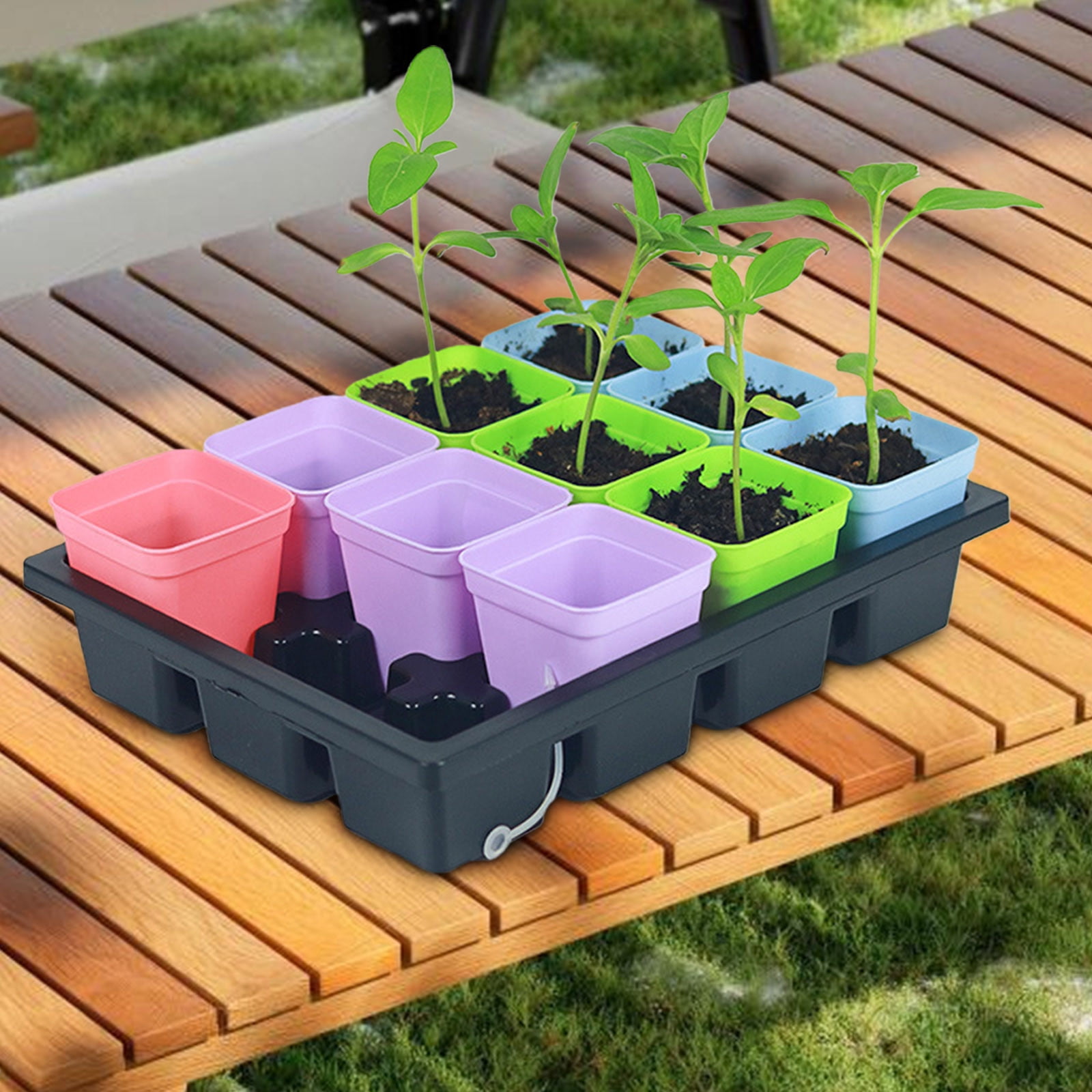 Seed Starter Tray with Lid, 12 Cells Seedling Tray Kit Reusable for Starting Vegetable, Flower & Herb Seeds Indoor Grow Kit for Deep-Rooted Seedlings