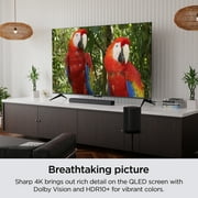 Roku - 55 Plus Series 4K TV