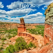 Texas Wild & Scenic | 2026 12x24" (Hanging) Wall Calendar | Plastic-Free