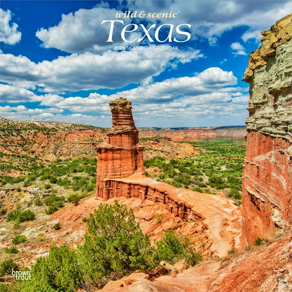 Texas Wild & Scenic | 2026 12x24" (Hanging) Wall Calendar | Plastic-Free