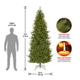thumbnail image 3 of National Tree Company 9 ft. Natural Fraser Slim Fir Artificial Christmas Tree, Unlit, 3 of 6