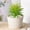 L, variant on HOARBOEG White Plastic Flower Pot - Decorative Planter for Succulents, Small Potted Plants, Artificial Flowers, Indoor and Outdoor Garden Decor, Versatile Home and Balcony Ornament