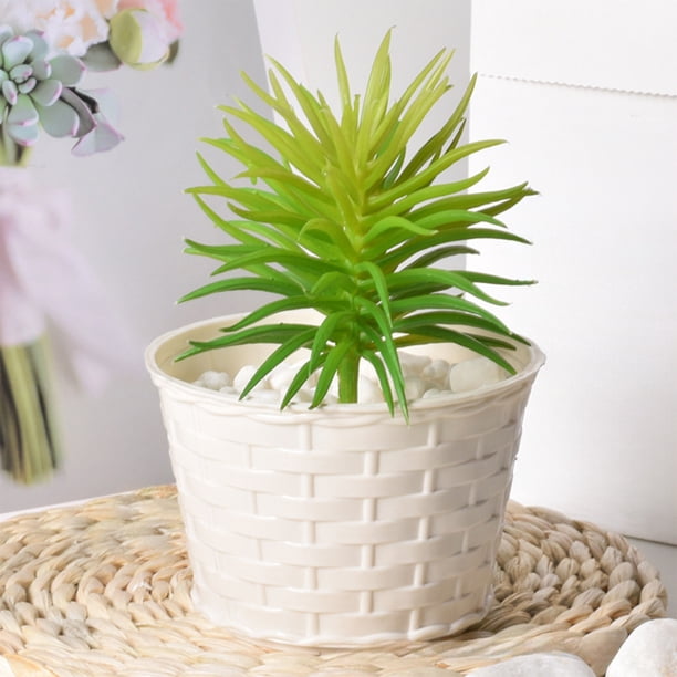 Maceta de plástico blanca | Juego de 3 macetas pequeñas | Macetas decorativas para interior y exterior para enredaderas y plantas pequeñas | 3 tamaños