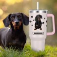 thumbnail image 3 of Dachshund Gift for Dog Owner,40oz Dachshund Tumbler with Handle Insulated Reusable Stainless Steel Travel Water Bottle (Color 1), 3 of 6
