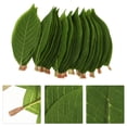 thumbnail image 2 of 50pcs Fake Magnolia Hojas de la planta artificial Hojas Simuladas de hojas de planta verde, 2 of 5