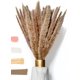 thumbnail image 2 of Fluffy Pampas Grass Dried 15 piezas - Flores secas - Natural, sostenible y fácil de limpiar - Decoración elegante Ormromra MZQ-0839-1, 2 of 8