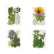 thumbnail image 5 of Yuarrent Planta en relieve de hojas secas naturales Hojas prensadas Verde seco Decoración de belleza Suministros para el hogar Regalos de Type5 NO5, 5 of 6
