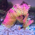 thumbnail image 4 of YIXIGGC Aquarium en Plastique Artificiel Haute Simulation Arbre Courbé Plante Aquarium Décoration (Rose) XC921-19933, 4 of 9