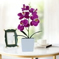 thumbnail image 4 of Gwong Decoración hogareña Plantas artificiales sin fantasals Lifful Plástico Artificial Bonsai Plantas para jardín Gwong 21066302, 4 of 6