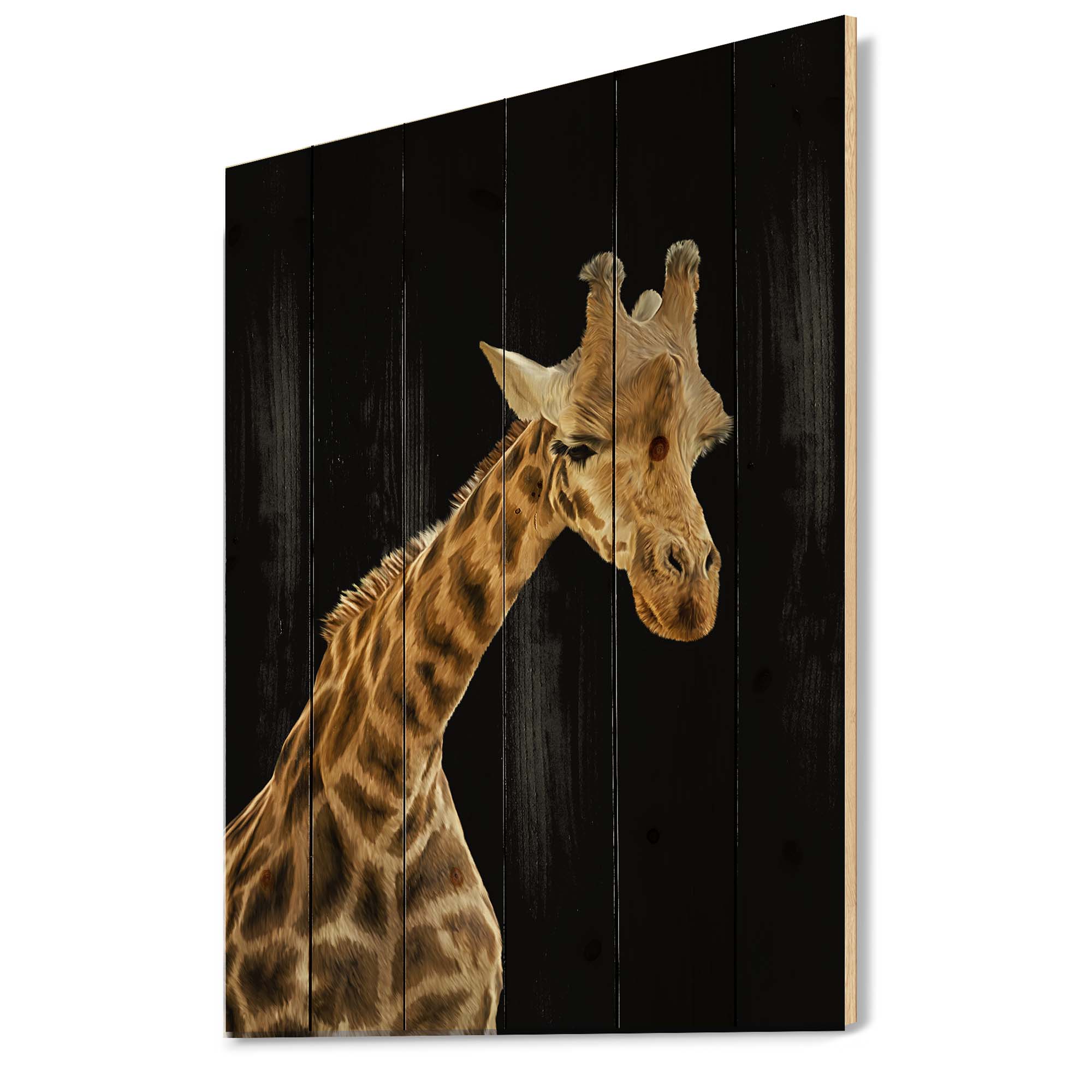 Designart 'Portrait of A Giraffe On Black Background II' Farmhouse Print on Natural Pine Wood