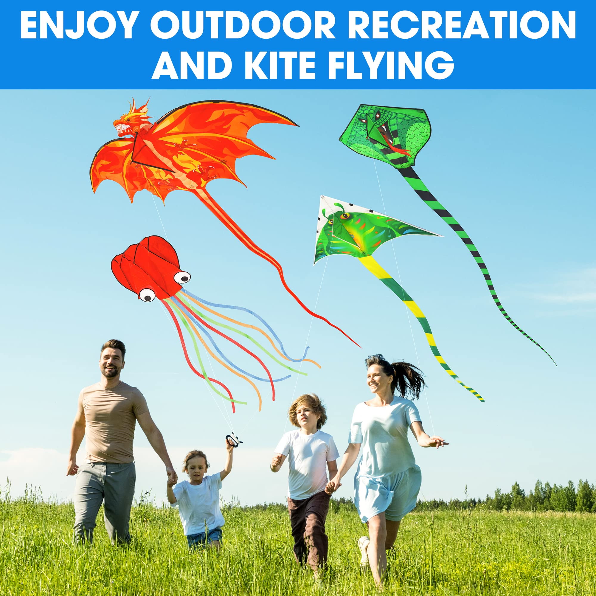 4 Pack Kites - Large Fire Dragon Kite Green Snake Kite Devil Fish Kite Red Mollusc Octopus with Long Colorful Tail for Kids Adults Outdoor Game Activities