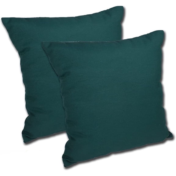 Set of 2 16W x 16D x 5H Spun Polyester Outdoor Throw Pillow in Solid Spruce Inc.