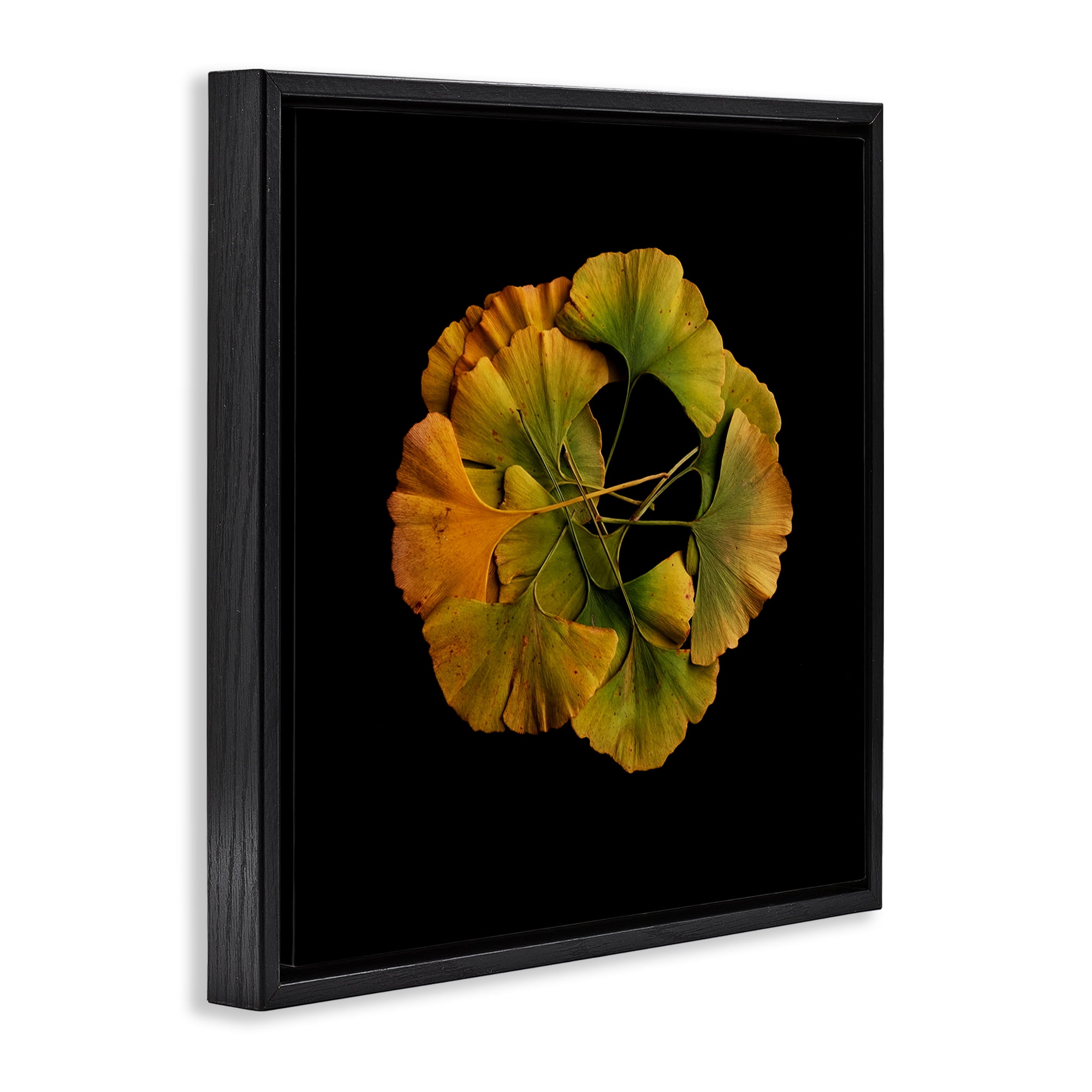 Stupell Industries Overlapping Ginkgo Leaves Black Framed Floater Canvas Wall Art, design by Beth Adoette