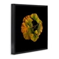 thumbnail image 2 of Stupell Industries Coastal Overlapping Ginkgo Leaves Black Floating Frame Canvas Art, 18 x 18, by Beth Adoette, 2 of 8