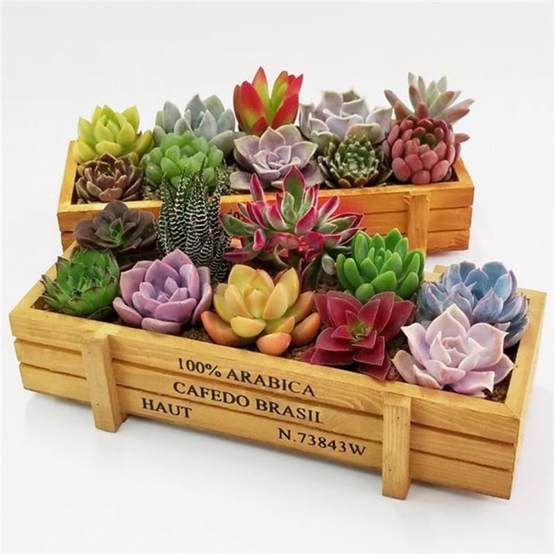 Actoyo Rectangular Rustic Wood Planter Succulent Planter Plant Pot
