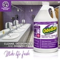thumbnail image 3 of Concentrado desinfectante y eliminador de olores OdoBan 3,78 L, paquete de 2, 3 of 5