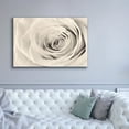thumbnail image 5 of Epic Graffiti 'Cream Rose' by Lori Deiter, Canvas Wall Art, 60"x40", 5 of 8